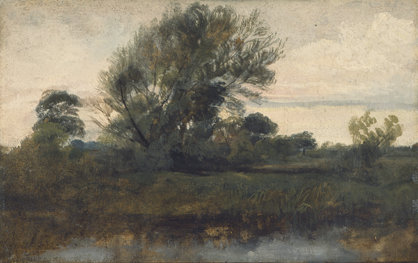 Landscape with Willow Tree