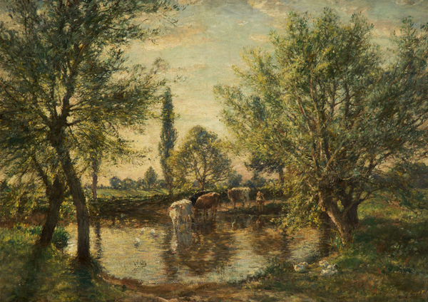 Pond and Willows (Widdington, Essex)