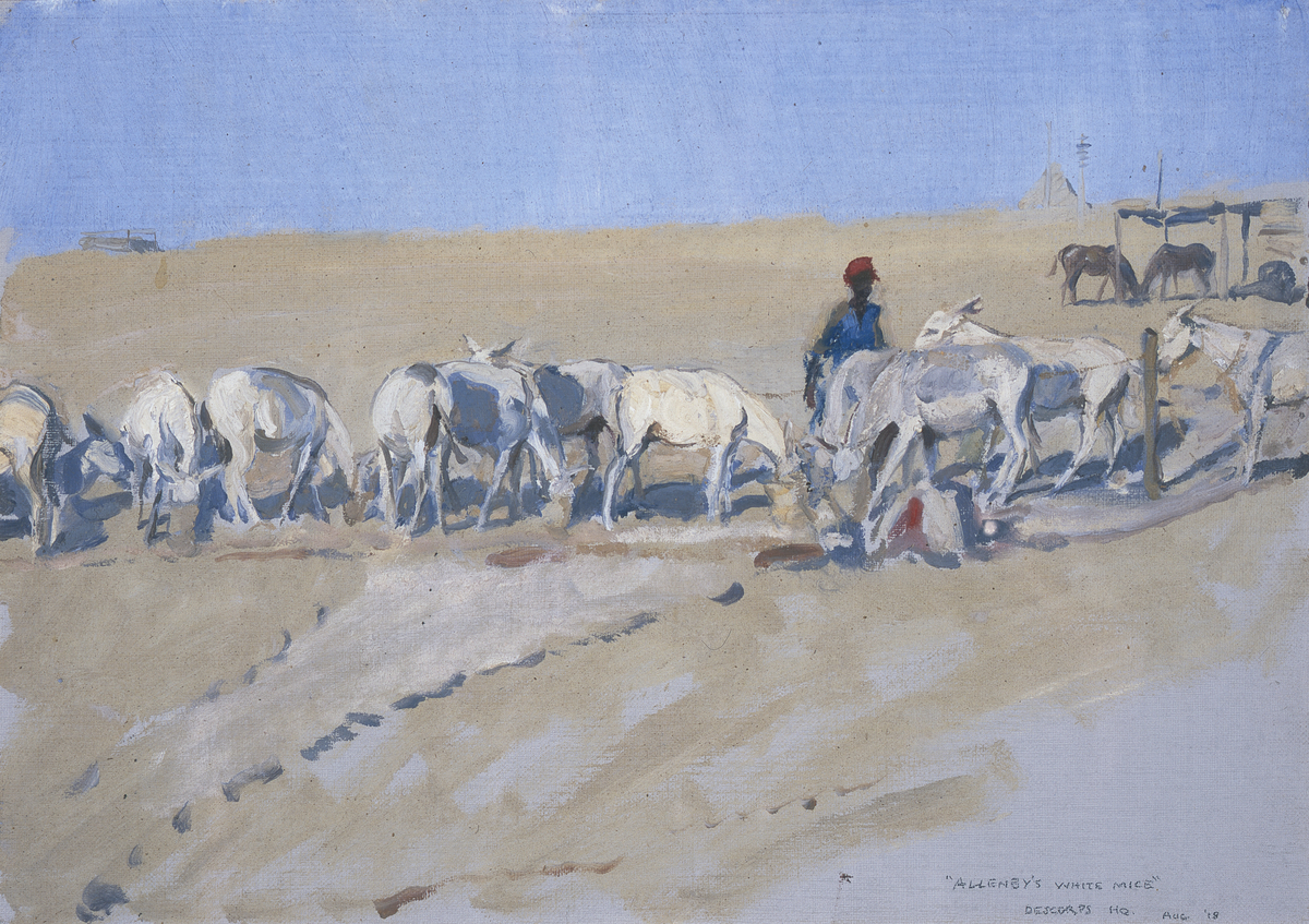 Allenby's White Mice : Feeding the Pack Donkeys :  Desert Corps HQ