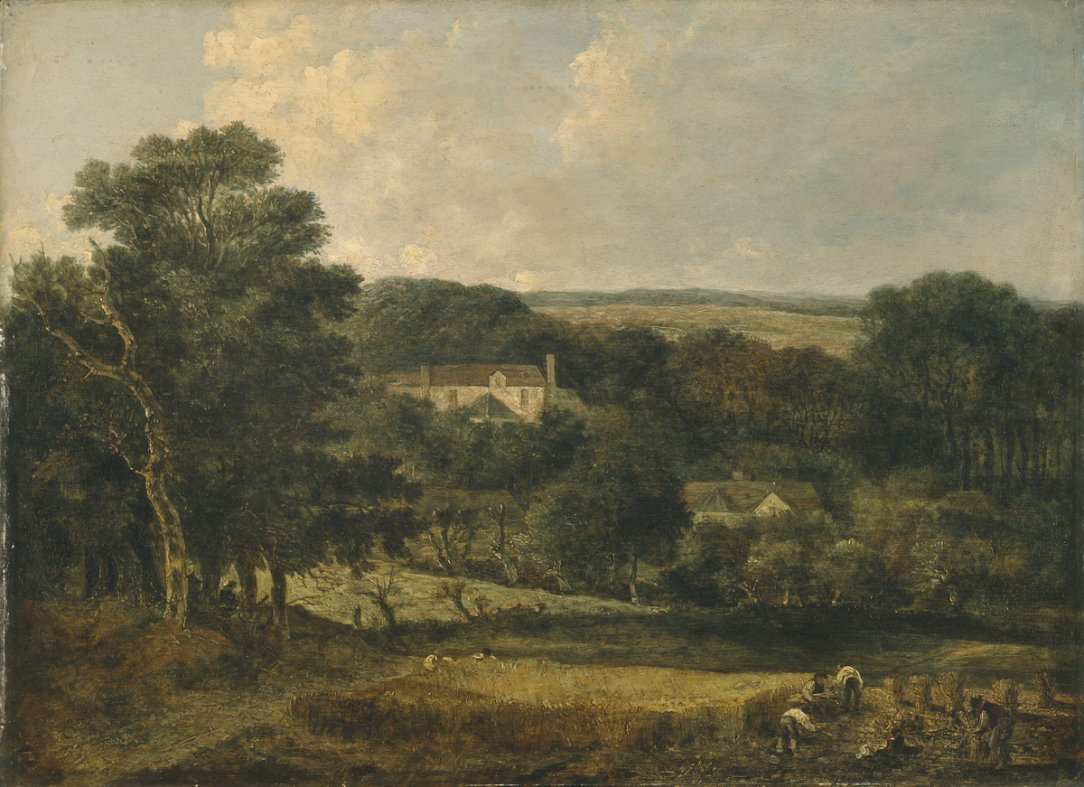 View near Norwich with Harvesters