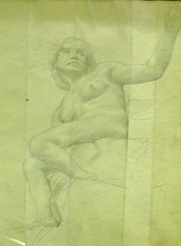 Studies from the Nude