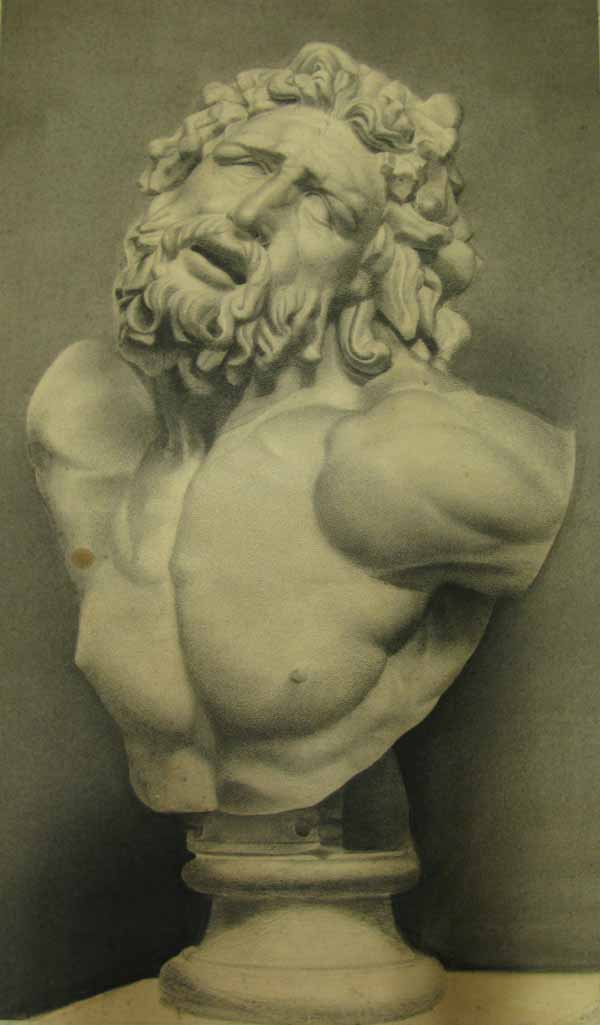 Plaster cast of the head and shoulders of the central figure in the Laocoon group