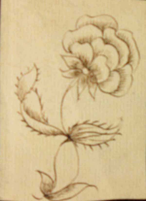 Hand Drawn Flower with Stem and Leaves