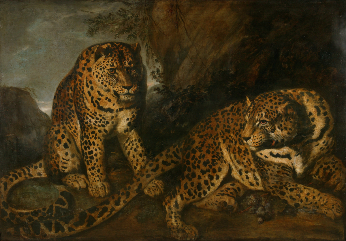 The Leopards