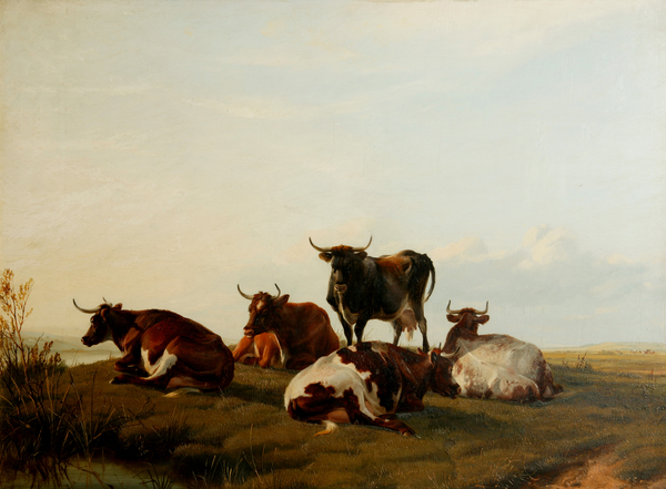 Cattle by the River Side