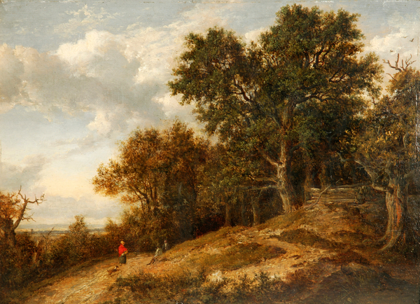 Wooded Landscape with Distant View