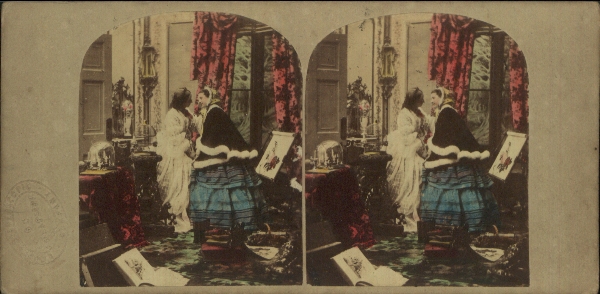 stereoscopic photograph & stereograph