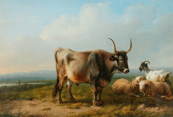 A Bull, Two Sheep and a Goat in Pasture