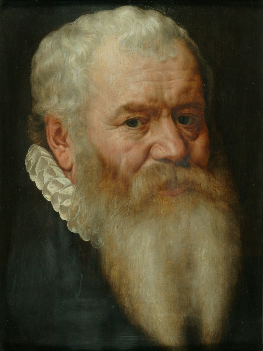 Portrait of Hubert Languet (1518-1581)