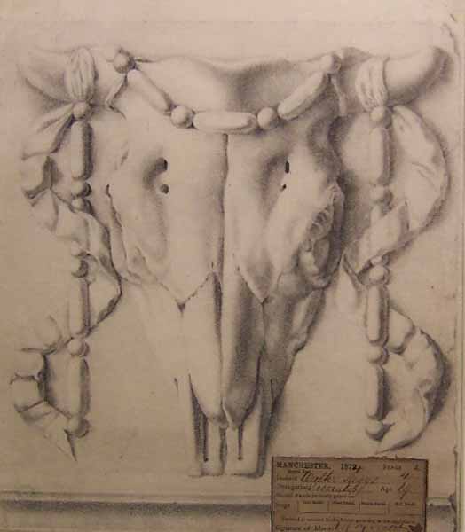 Various drawings: skull